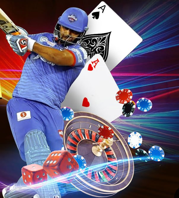 bingoplus net