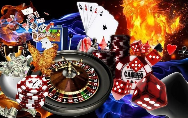bingoplus net