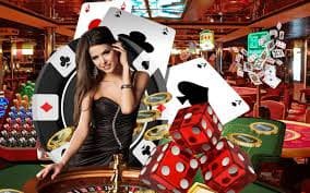 bingoplus net