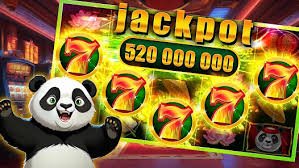 bingoplus net