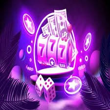 bingoplus net