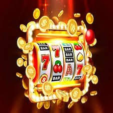 bingoplus net