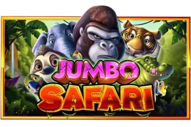 bingoplus net